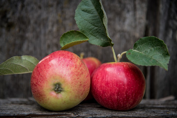 Juicy apple with leaves in the form of wings against the background of a gray tree