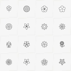 Flowers line icon set with flower and chamomile