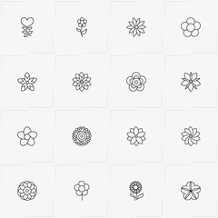 Flowers line icon set with chamomile  and flower