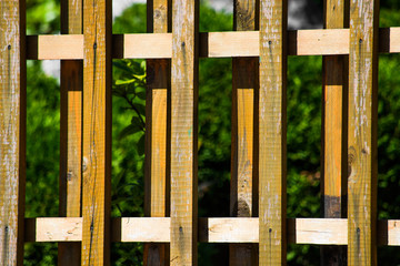 Background from a wooden fence