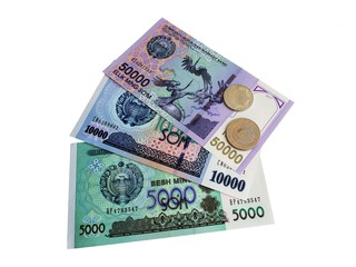 Obraz na płótnie Canvas Coins and banknotes of Uzbekistan