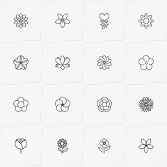Flowers line icon set with rose and flower
