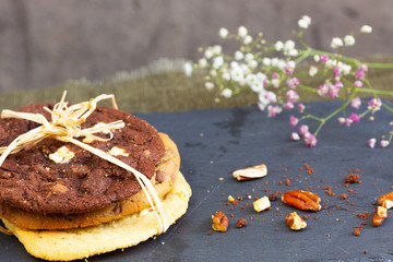 Chocolate Chip Cookies in the Sunlight in France