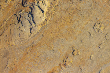 Stone background texture background natural stone close-up