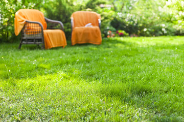 two wicker chairs in the beautiful, sunny garden