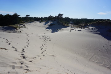 morze bałtyk sea baltic poland jurata hel