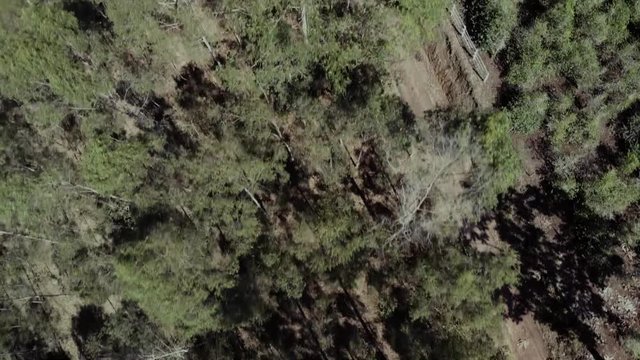 drone plant view of farm land