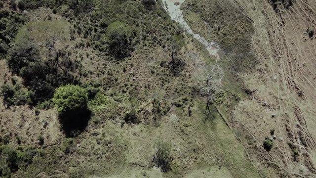 aerial flight in farm lands