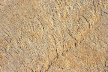 Stone background texture background natural stone close-up