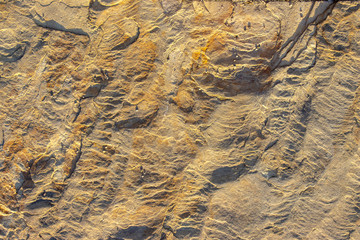 Stone background texture background natural stone close-up