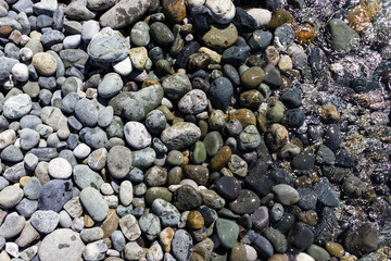 stones beach water nature