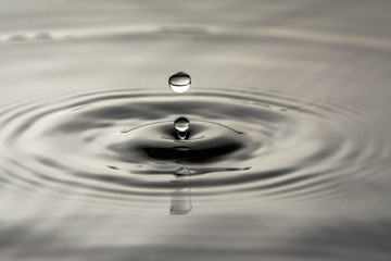 The Water Drop - Gota de água 