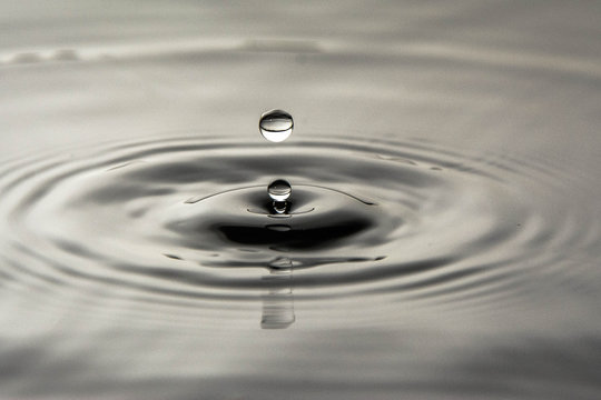 The Water Drop - Gota de &aacute;gua 