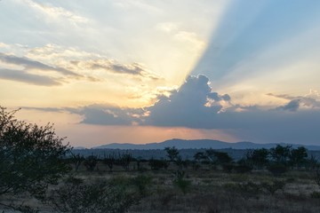 The sunset beyond the dry land of Brazilian countryside