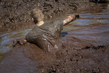 Muddy obstacle race runner in action. Mud run.
