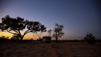Fototapeta na wymiar Sunrise with trees in silhouette in the Australian outback.