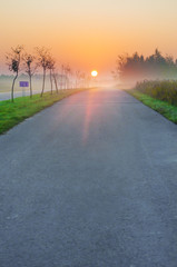 Empty asphalt road leading to a red sun disk on the horizon