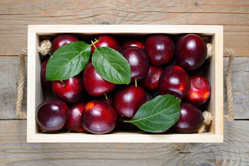 Plums in wooden box close-up