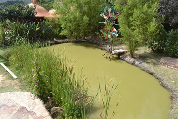 Medio Ambiente
