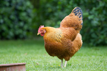 Adobe Stock eingereicht 15.08.2018