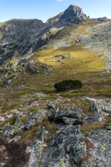 Amazing Panorama of Green hills of Rila Mountain, Bulgaria