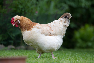 Portrait Christian und Birgit