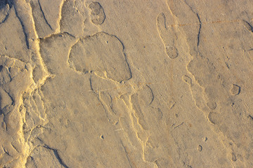 Stone background texture background natural stone close-up