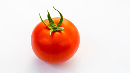 Tomaten weißer Hintergrund