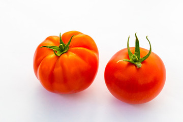 Tomaten weißer Hintergrund