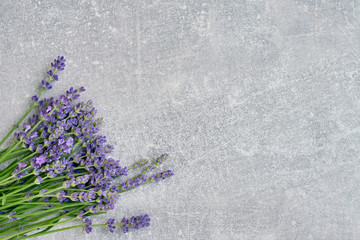 Lavender flowers bouquet on gray background. Copy space, top view. Summer background. Copy space