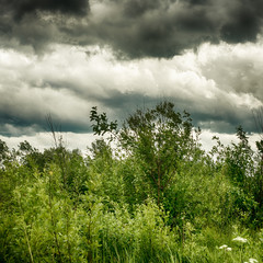 Obraz na płótnie Canvas Clouds