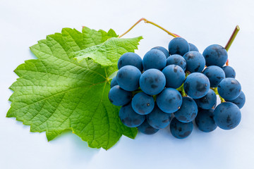 Weintrauben mit Blatt