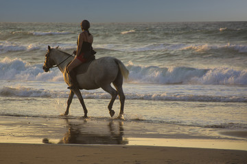 Obraz premium Girl riding horse on the beach at sunset. Horsewoman on the sea
