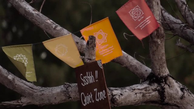 Slow motion waving party flags / banners