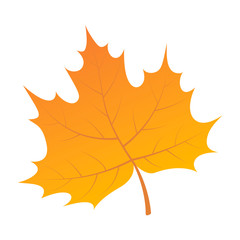 Yellow leaf of tree icon. Isometric of yellow leaf of tree vector icon for web design isolated on white background