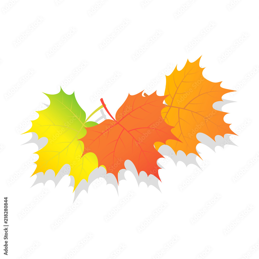 Poster set of autumn leaves icon. isometric of set of autumn leaves vector icon for web design isolated on 