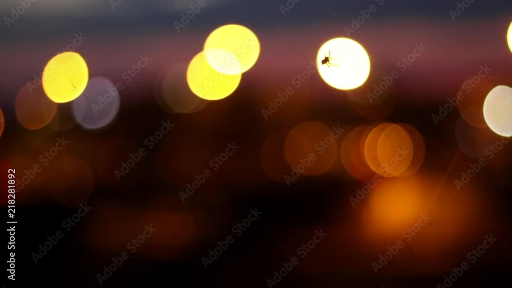 Poster an out of focus spider crawling in front of abstract lights in slow motion.