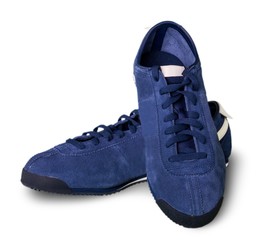 Pair of Purple Shoes