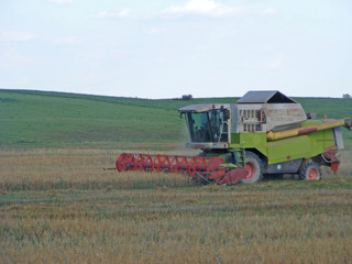 Fototapeta premium Combine is working - harvest time