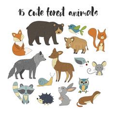 Big set with hand drawn vector, forest, animals color on a white background.