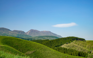 産山村　ヒゴタイ公園