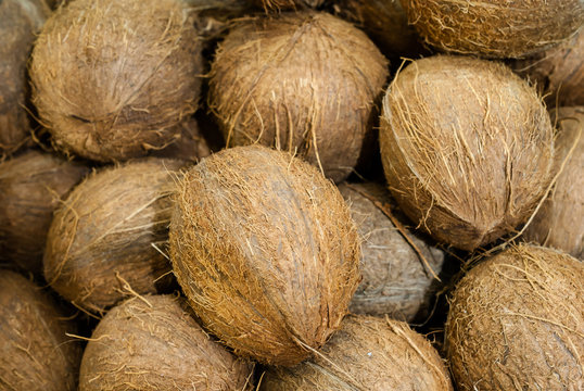 A lot of coconut fruit is ideal for a background image