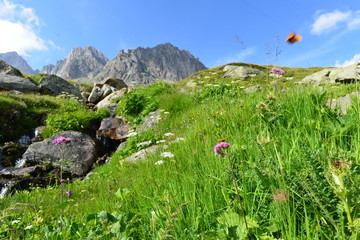 Klein Furkahorn in den Urner Alpen Kanto Wallis und Uri 
