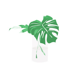 vector philodendron watercolor illustration. tropical exotic leaf. 