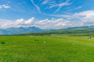 Picturesque green meadow in the north of Montenegro in the National Park Durmitor.
