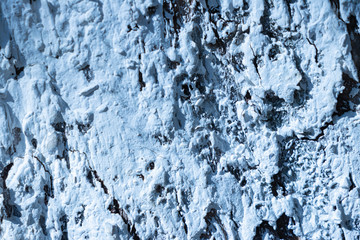 background. the wooden bark of the tree is painted white