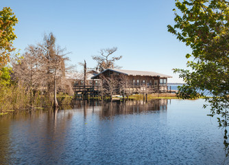 Florida swamp
