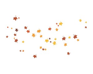 Obraz na płótnie Canvas autumn Leaf background template