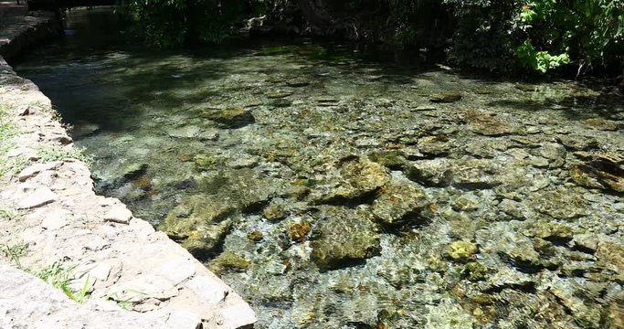 This is a video of the Comal River in Landa Park in New Braunfels Texas.