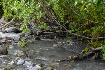 Bertha Creek, Alaska